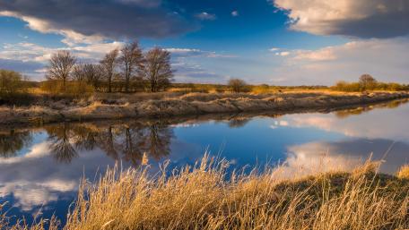 Serene Autumn Reflections on Tranquil Waters wallpaper
