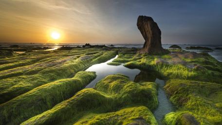 Serene Sunset Over Algae-Covered Rocks wallpaper