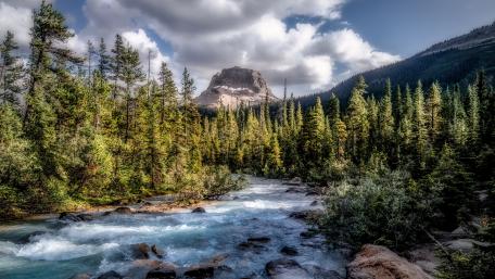Wapta Mountain wallpaper
