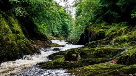 Serene River Flowing Through Lush Greenery wallpaper