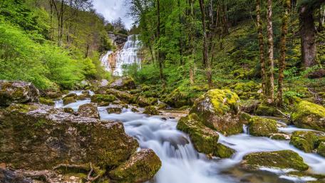 Serene Spring Waterfall in Lush Forest Landscape wallpaper