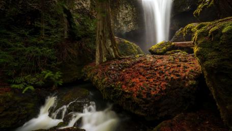 Serenity of Nature's Waterfall Scene wallpaper