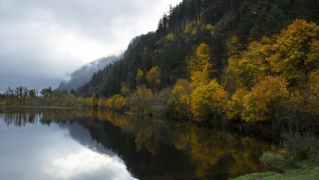 Autumn Reflections on a Serene Lake wallpaper