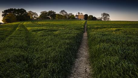 Serene Path Through Lush Green Fields wallpaper