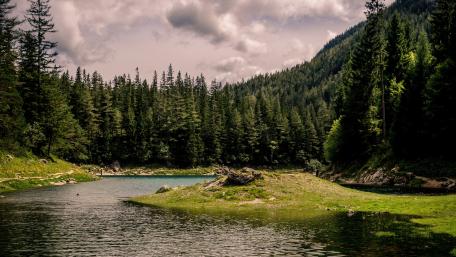 Tranquil River Amidst Lush Greenery and Mountains wallpaper
