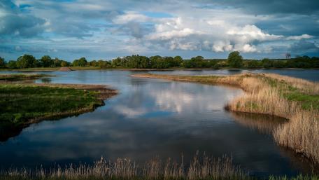 Tranquil River in a Flood Plain Scene wallpaper