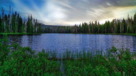 Serene Lake Reflection in Nature's Embrace wallpaper