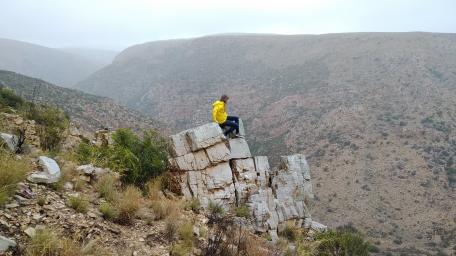 Majestic Heights in Nature's Embrace wallpaper