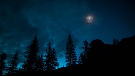 Natural night with dim light wallpaper