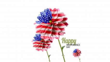 Happy Independence Day! wallpaper