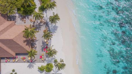 Tropical Paradise Overhead View wallpaper