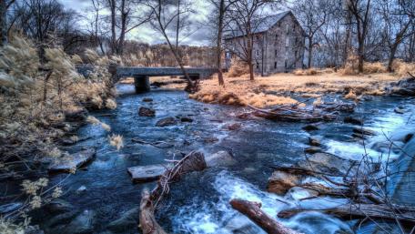 Serene Riparian Beauty with a Tranquil Bridge wallpaper