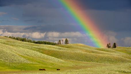 Vibrant Rainbow Over Rolling Green Hills wallpaper