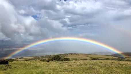 Vibrant Rainbow Over Scenic Field wallpaper