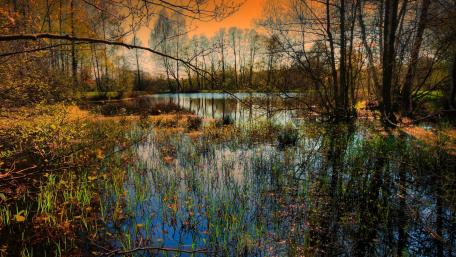 Tranquil Autumn Retreat in Nature's Splendor wallpaper