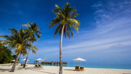 Tropical Beach Bliss Experience Summer Serenity in Paradise wallpaper