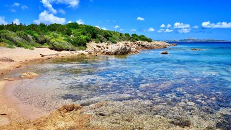 Serene Shoreline Under a Bright Blue Sky wallpaper