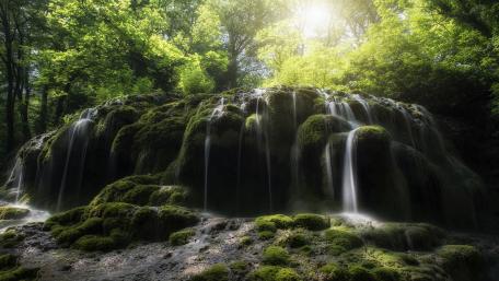 Serene Waterfall in Lush Greenery wallpaper