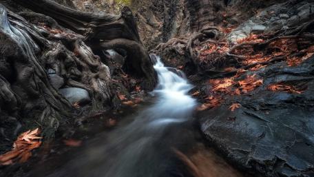 Serene Forest Creek with Flowing Waterfall wallpaper