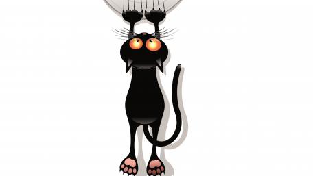 Hanging black cat cartoon wallpaper