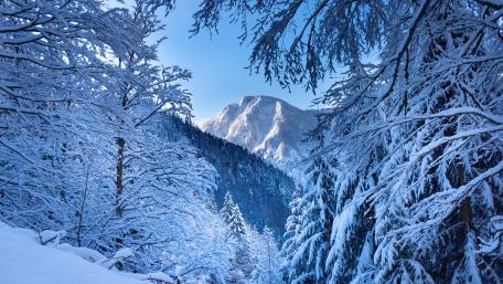 Winter Wonderland in the Alps Stretching Into Blue Sky wallpaper