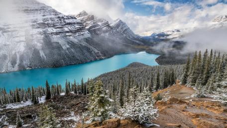 Peyto Lake wallpaper