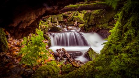 Serene Forest Waterfall in Tranquil Setting wallpaper