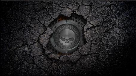 Harley-Davidson Skull Emblem Wallpaper wallpaper
