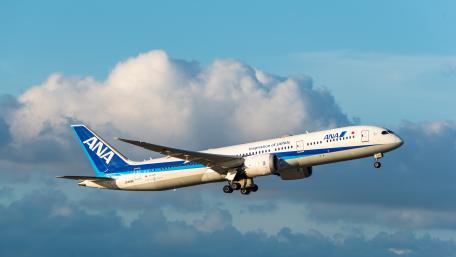 ANA JA888A B787-9 wallpaper