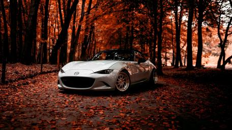 Autumn Vibes with Mazda in the Forest wallpaper