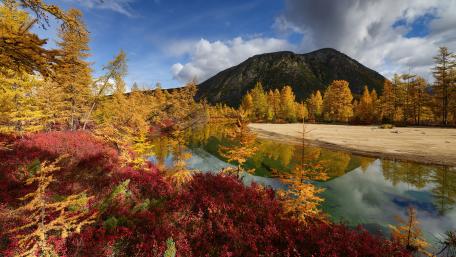 Jack London Lake wallpaper