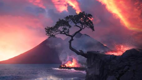 Lone Tree Against a Fiery Sky wallpaper
