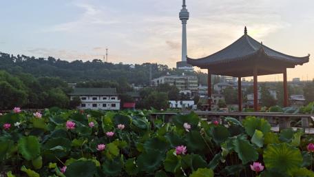 Serene Cityscape at Dawn wallpaper