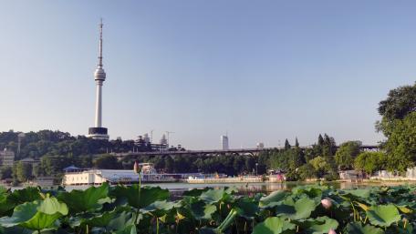 Urban Serenity With Tower View wallpaper