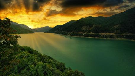 Serenity in Nature's Embrace wallpaper