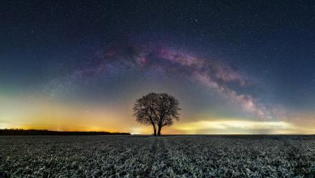 Lone Tree Under the Milky Way Night Sky wallpaper