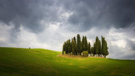Serene Hilltop Grove Under Dramatic Clouds wallpaper