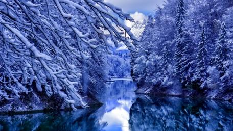 Frozen Serenity in Blue Winter Landscape wallpaper