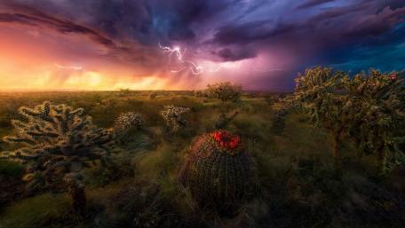 Electric Desert Storm with Lightning Display wallpaper