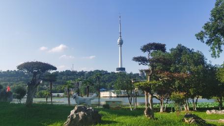 Urban Serenity with Tower View wallpaper
