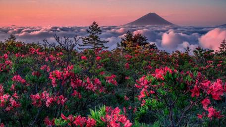 Majestic Volcano Above a Sea of Clouds wallpaper