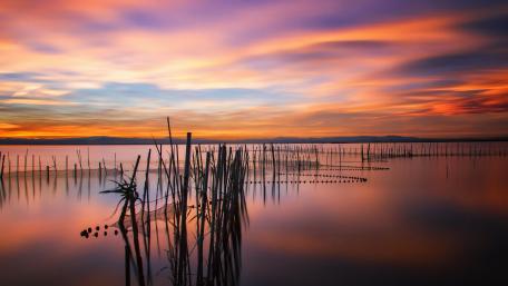 Tranquil Lake Sunset Scene wallpaper