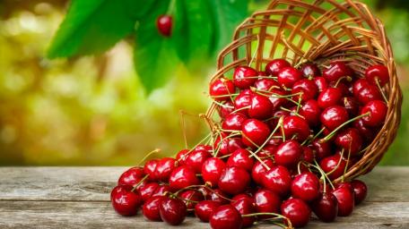 Vibrant Cherries in a Rustic Basket wallpaper