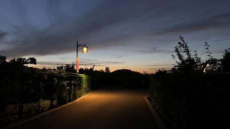 Serene Evening Pathway in the City wallpaper