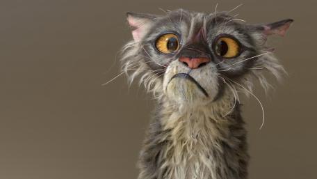 Grumpy Cartoon Cat Expressing Shock wallpaper