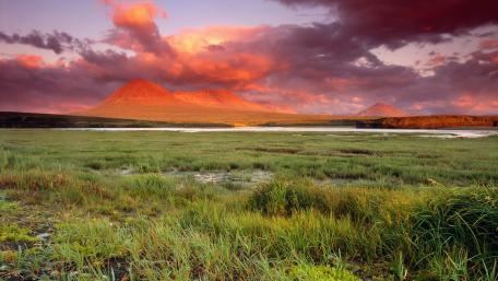 Majestic Sunset Over Serene Fields wallpaper