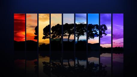 Tree Spectrum wallpaper
