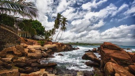 Tropical Paradise by the Shore wallpaper