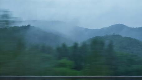 Serene Foggy Hills in Nature's Embrace wallpaper