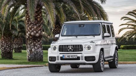 Elegant Mercedes-Benz G-Class Surrounded by Lush Palms wallpaper
